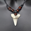 Collier avec Pendentif Dent de Requin